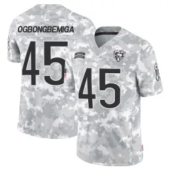 Men's Amen Ogbongbemiga Chicago Bears No.45 Limited 2024 Salute to Service Jersey - Arctic Camo