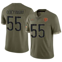 Men's Dayo Odeyingbo Chicago Bears No.55 Limited 2022 Salute To Service Jersey - Olive