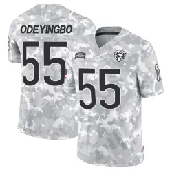 Men's Dayo Odeyingbo Chicago Bears No.55 Limited 2024 Salute to Service Jersey - Arctic Camo