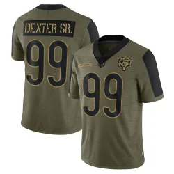 Men's Gervon Dexter Sr. Chicago Bears No.99 Limited 2021 Salute To Service Jersey - Olive