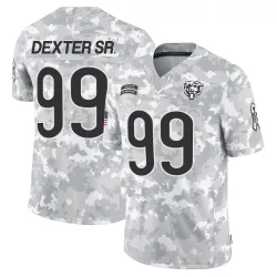 Men's Gervon Dexter Sr. Chicago Bears No.99 Limited 2024 Salute to Service Jersey - Arctic Camo