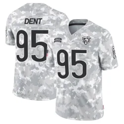 Men's Richard Dent Chicago Bears No.95 Limited 2024 Salute to Service Jersey - Arctic Camo