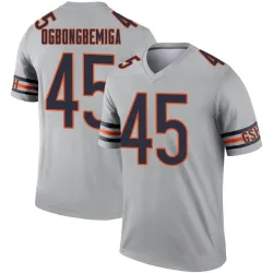Youth Amen Ogbongbemiga Chicago Bears No.45 Legend Inverted Silver Jersey