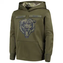 Youth Chicago Bears No. 2018 Salute to Service Pullover Performance Hoodie - Green