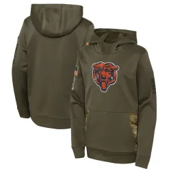 Youth Chicago Bears No. 2022 Salute to Service Performance Pullover Hoodie - Olive